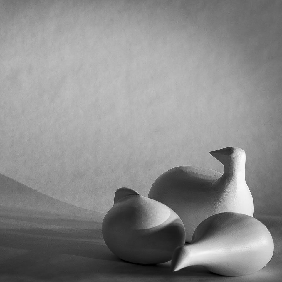Black and white photographic still life of abstract wooden bird sculptures.
